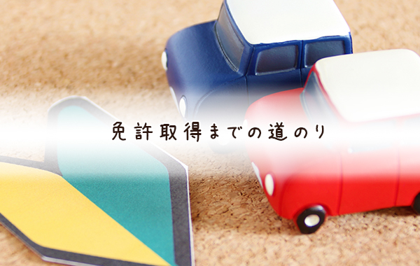 運転免許証に必要な視力の最低ラインは 眼鏡やコンタクトレンズは わたしの自動車教習所